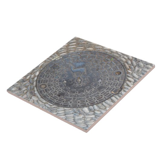 マンホールの蓋および玉石の道のセラミックタイル タイル (側面)