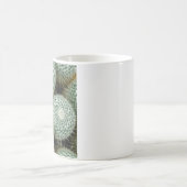 マンミラリア・ハニーナ コーヒーマグカップ (中央)