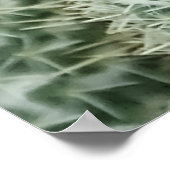 マンミラリア・ハニーナ ポスター (角)