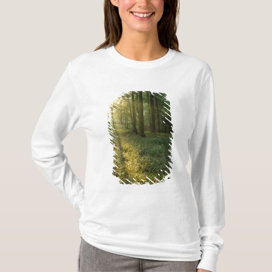 マンモスの日の出 オークとヒッコリーの森 Tシャツ (正面)