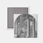 マンモスの木の林の谷 マグネット (正面/裏面)