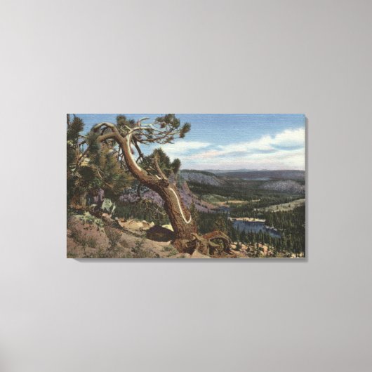 マンモスクレストのティンバーライン キャンバスプリント (正面)