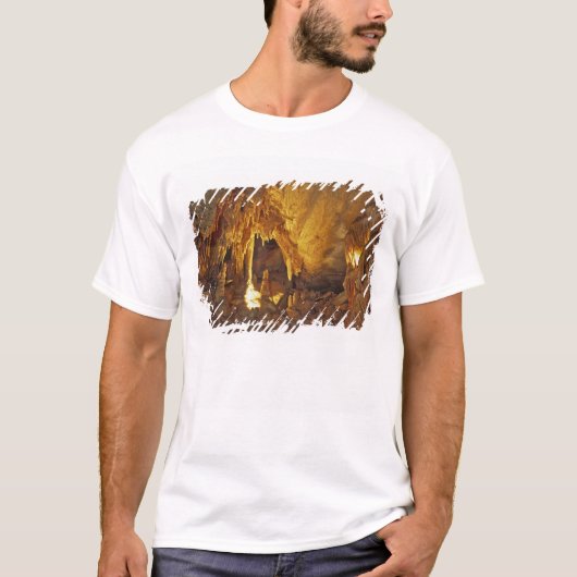 マンモスケーブ国立公園のドレイパリィ・ルーム Tシャツ (正面)