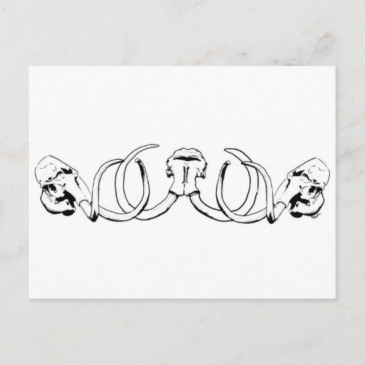 マンモススカルはがき ポストカード (正面)