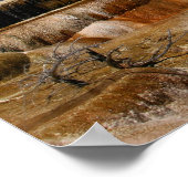 マンモステラス ポスター (角)