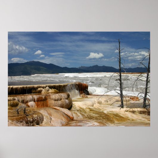 マンモステラス ポスター (正面)