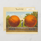 マンモスネバネオレンジのカーロード – ヴィンテージ ポストカード (正面/裏面)