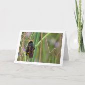 マンモスバスク – メガソリアマクラタカード カード (正面)