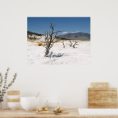 マンモスホット春ズメインテラス ポスター (キッチン)