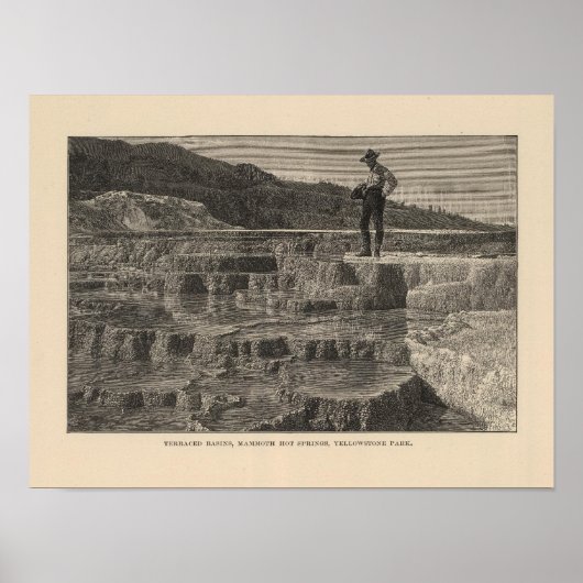 マンモスホット春ビュー ポスター (正面)