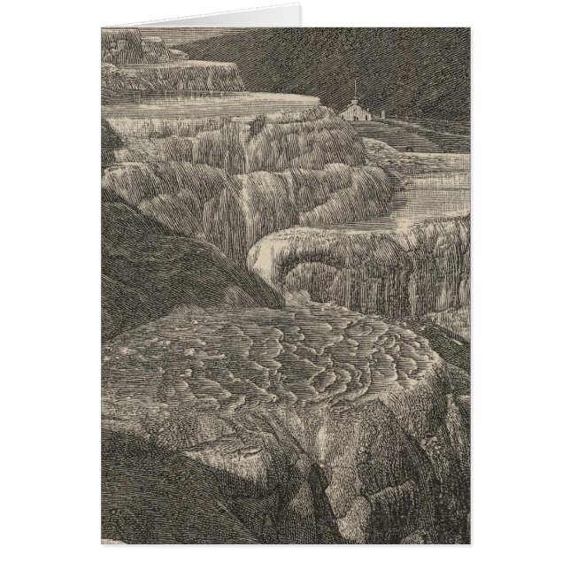 マンモスホット春 (正面)