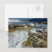 マンモスホット春、イエローストーン国立公園、Wy ポストカード (正面/裏面)