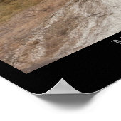 マンモスホット春 ポスター (角)