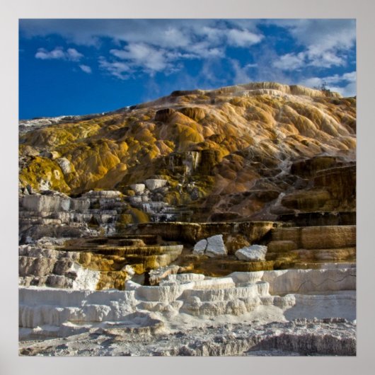 マンモスホット春 ポスター (正面)