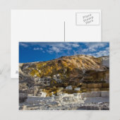 マンモスホット春 ポストカード (正面/裏面)