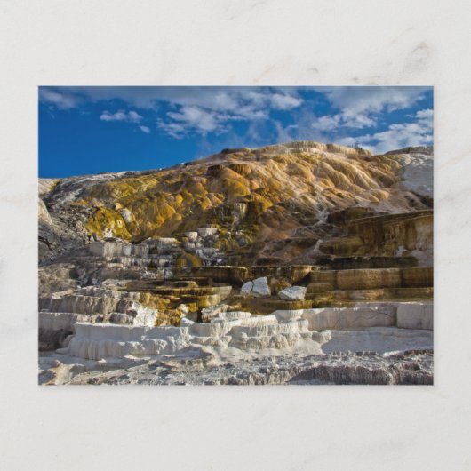 マンモスホット春 ポストカード (正面)