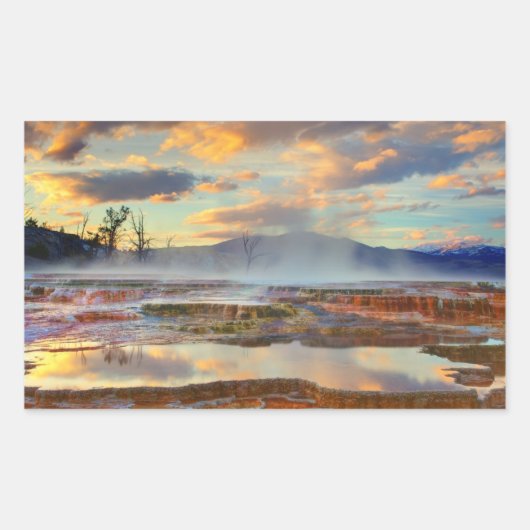 マンモスホット春 長方形シール (正面)