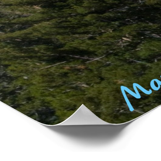 マンモスレイクス盆地(カリフォルニア州) ポスター (角)