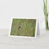 マンモスワスメガスコリアマキュラタ カード (正面)