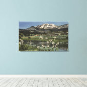 マンモス山の近くに生える野生のアヤメ キャンバスプリント (インサイチュ (ウッドフロア))