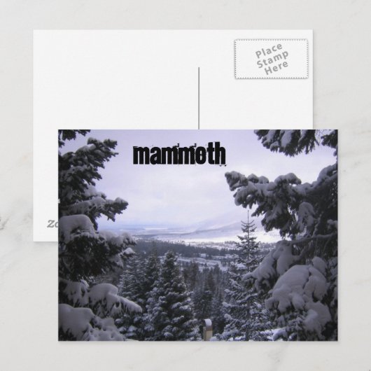マンモス山 ポストカード (正面/裏面)