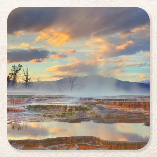 マンモス温泉 スクエアペーパーコースター (正面)