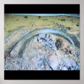 マンモス牙（二） ポスター (正面)