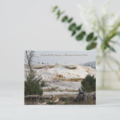 マンモス・ホットスプリングス, イエローストーン国立公園 ポストカード (スタンド正面)