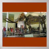 マンモス！ ポスター (正面)