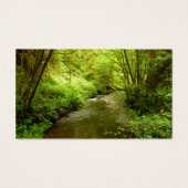 マン失ったクリークIアットレッドウッド国立公園 (裏面)