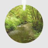 マン失ったクリークIアットレッドウッド国立公園 オーナメント (裏面)