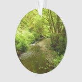 マン失ったクリークIアットレッドウッド国立公園 オーナメント (正面)