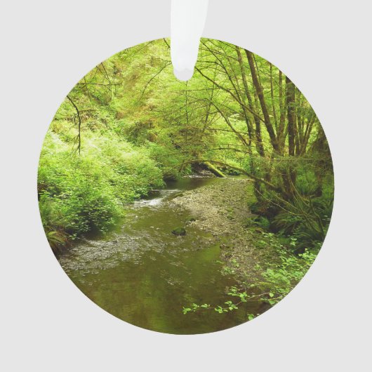 マン失ったクリークIアットレッドウッド国立公園 オーナメント (正面)