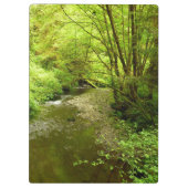 マン失ったクリークIアットレッドウッド国立公園 クリップボード (裏面)