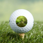 マン失ったクリークIアットレッドウッド国立公園 ゴルフボール (インサイチュ 木)