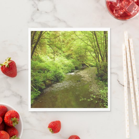 マン失ったクリークIアットレッドウッド国立公園 スタンダードランチョンナプキン (インサイチュ)