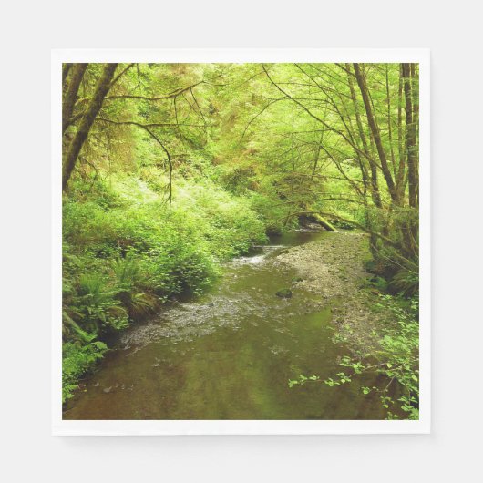 マン失ったクリークIアットレッドウッド国立公園 スタンダードランチョンナプキン (正面)