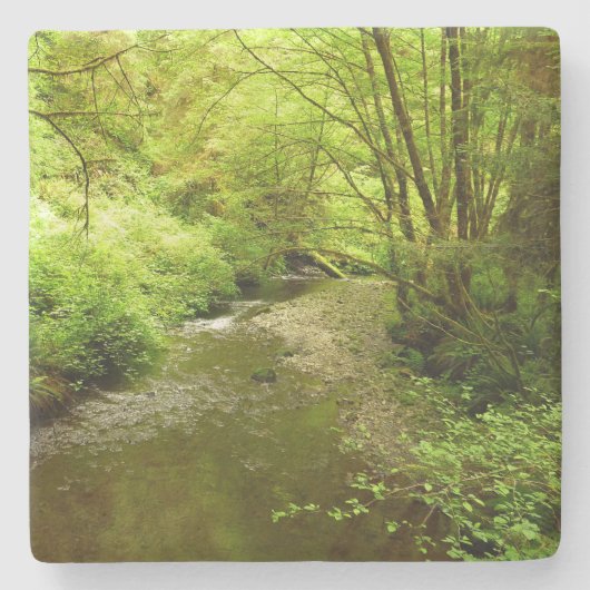 マン失ったクリークIアットレッドウッド国立公園 ストーンコースター (正面)