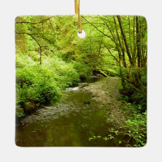 マン失ったクリークIアットレッドウッド国立公園 セラミックオーナメント (正面)