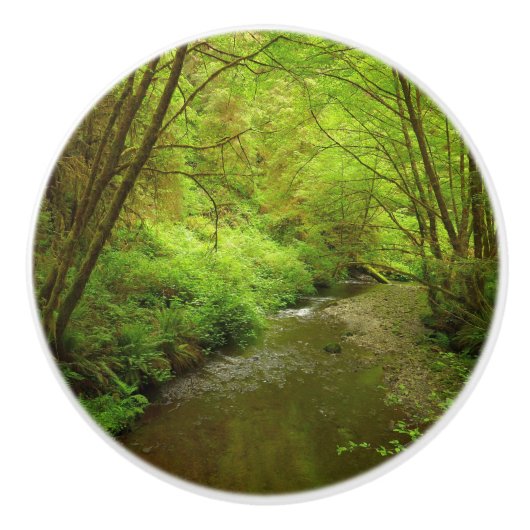 マン失ったクリークIアットレッドウッド国立公園 セラミックノブ (正面)