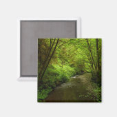 マン失ったクリークIアットレッドウッド国立公園 マグネット (正面/裏面)