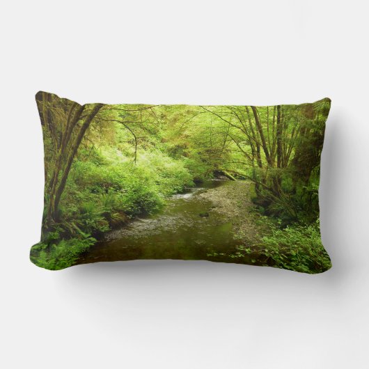 マン失ったクリークIアットレッドウッド国立公園 ランバークッション (正面)