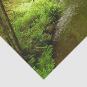 マン失ったクリークIアットレッドウッド国立公園 薄葉紙 (詳細)