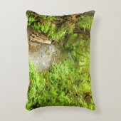 マン失ったクリークIIアットレッドウッド国立公園 アクセントクッション (正面(垂直))