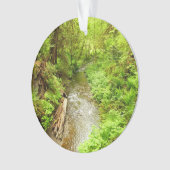 マン失ったクリークIIアットレッドウッド国立公園 オーナメント (正面)