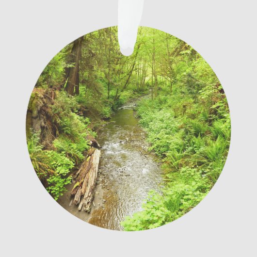 マン失ったクリークIIアットレッドウッド国立公園 オーナメント (正面)