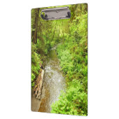 マン失ったクリークIIアットレッドウッド国立公園 クリップボード (左)