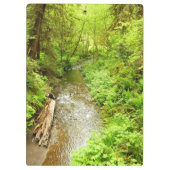 マン失ったクリークIIアットレッドウッド国立公園 クリップボード (裏面)