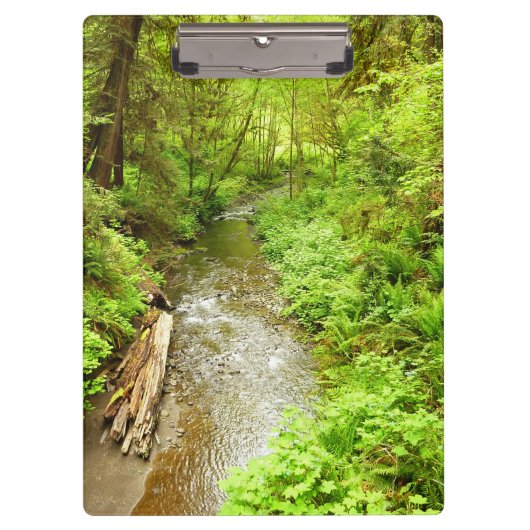 マン失ったクリークIIアットレッドウッド国立公園 クリップボード (正面)