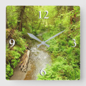 マン失ったクリークIIアットレッドウッド国立公園 スクエア壁時計 (正面)